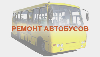 bus-11